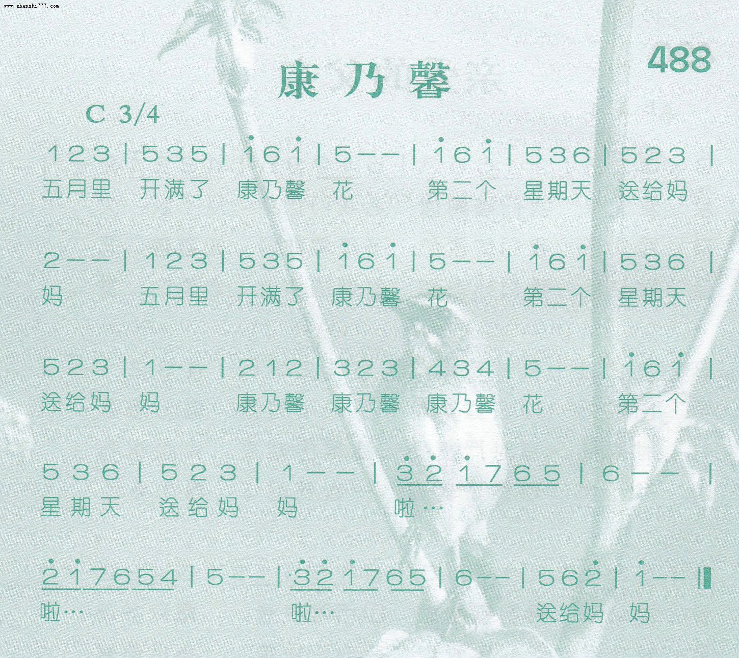 第488首 - 康乃馨